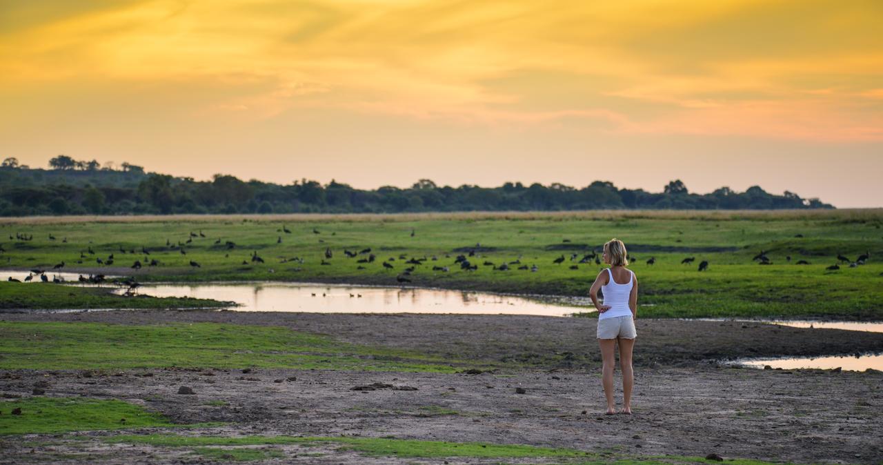 Ngoma Safari Lodge Kavimba 외부 사진