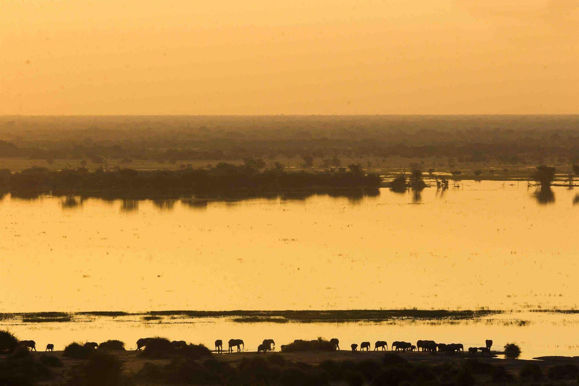 Ngoma Safari Lodge Kavimba 외부 사진