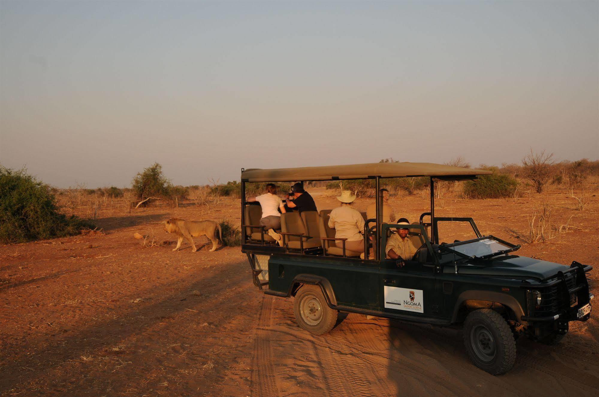 Ngoma Safari Lodge Kavimba 외부 사진