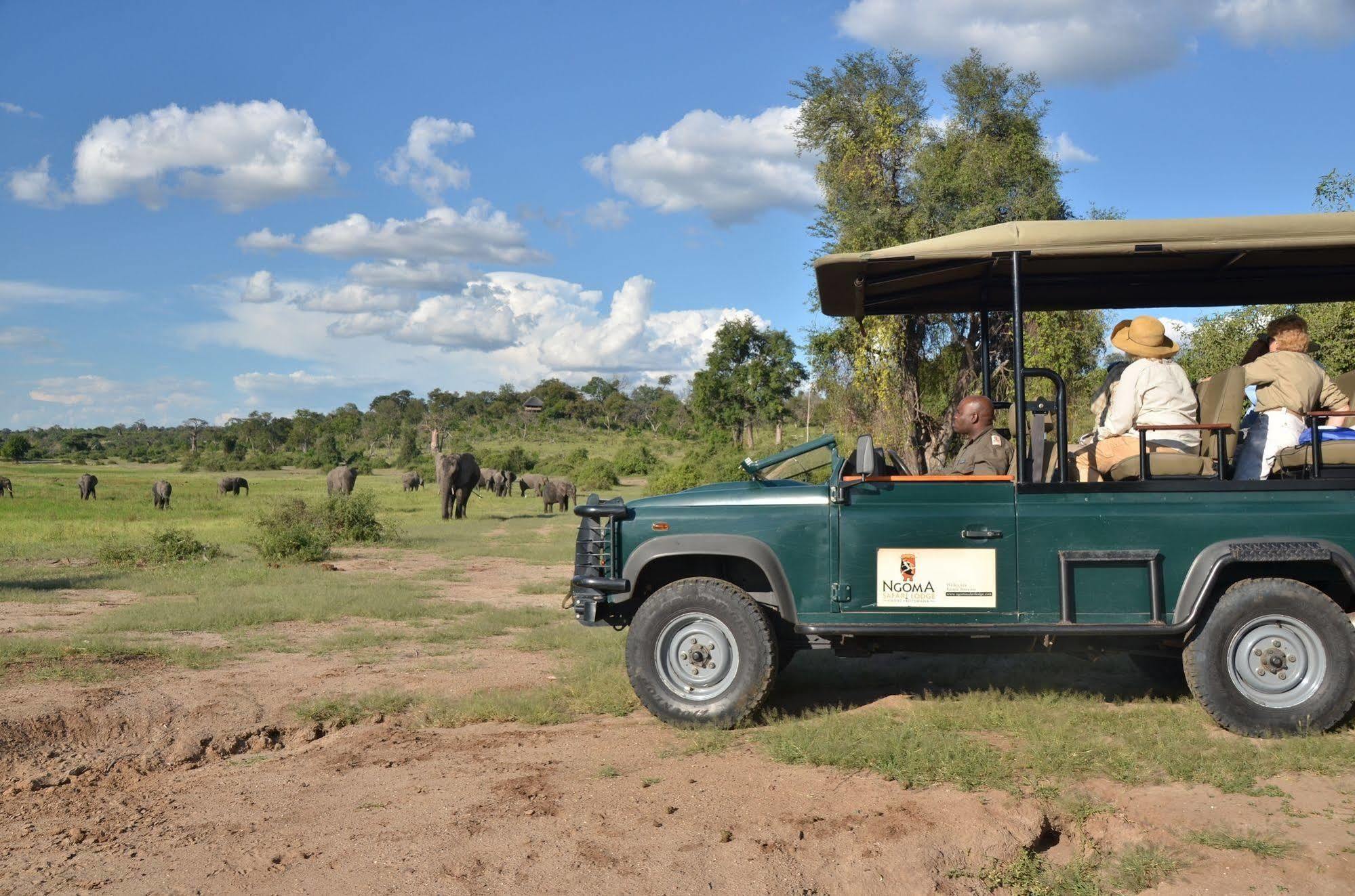 Ngoma Safari Lodge Kavimba 외부 사진